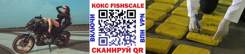 Купить где  Каменск-Шахтинский  Кокаин Fish Scale 