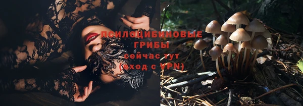 сатива Киренск