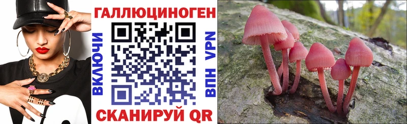 Купить где  Каменск-Шахтинский  Галлюциногенные грибы GOLDEN TEACHER 